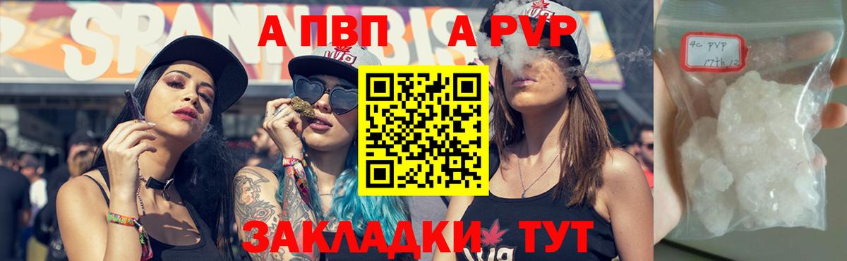 Киселёвск  Альфа ПВП СК  A PVP СК КРИС  APVP СК  A-PVP  Вход с VPN 
