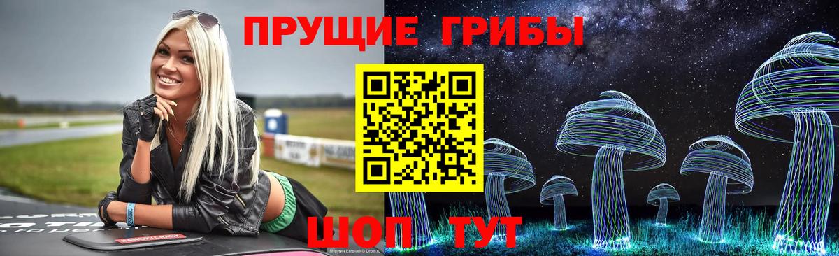Киселёвск  Галлюциногенные грибы Cubensis  Вход с VPN 